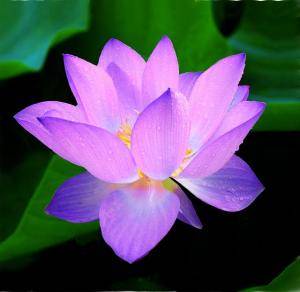 theta-otthon.kolozsimariann.hu