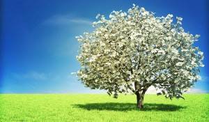 theta-otthon.kolozsimariann.hu