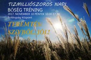 theta-otthon.kolozsimariann.hu